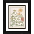 thumbnail image 1 of Maurice Pillard Verneuil 18x24 Black Ornate Framed Double Matted Museum Art Print Titled: Chrysanthemum (1896), 1 of 5