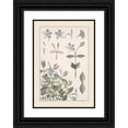 thumbnail image 1 of Maurice Pillard Verneuil 18x24 Black Ornate Framed Double Matted Museum Art Print Titled: Pervenche (1896), 1 of 5