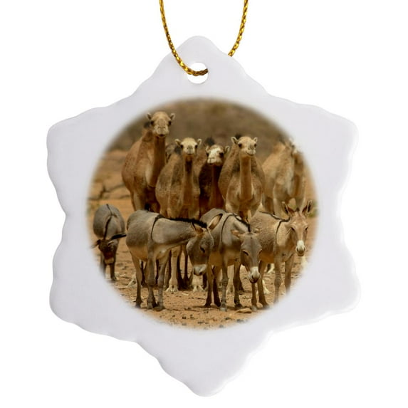 3drose, Mauritania, Adrar, Camels and Donkeys Going to the Well-af27 Apa0041 - Aldo Pavan, 3 inch Snowflake Porcelain Ornament