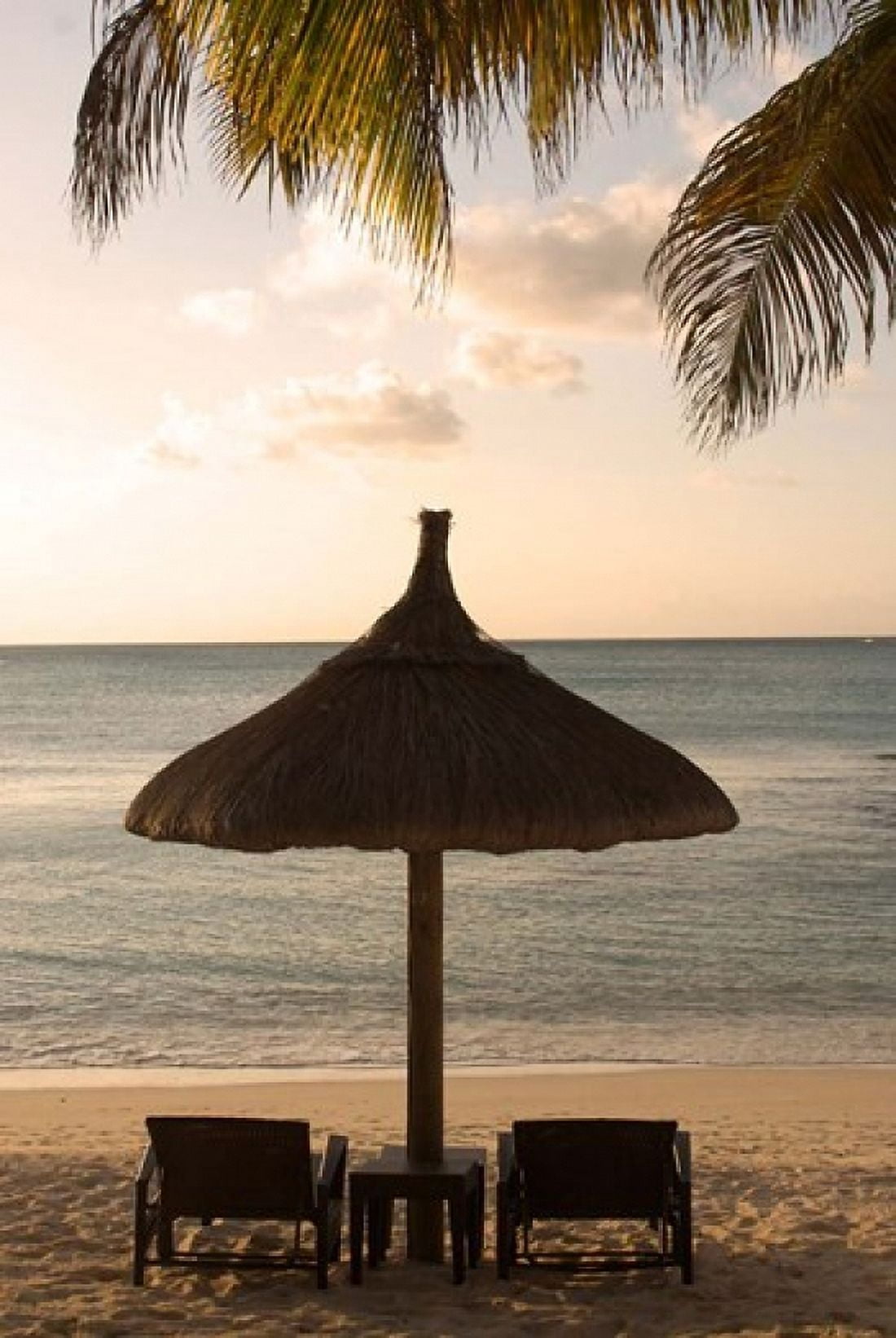 Mauritius Beach scene umbrella chairs palm fronds Canvas Art - Peter Skinner DanitaDelimont (23 x 34)