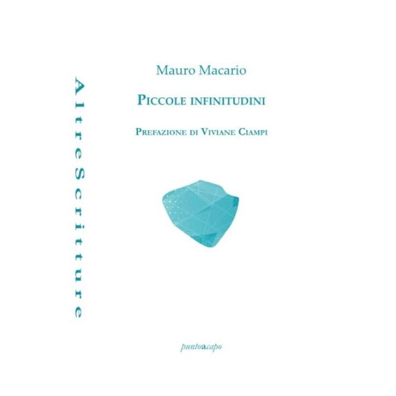 Mauro Macario Piccole infinitudini (Paperback)