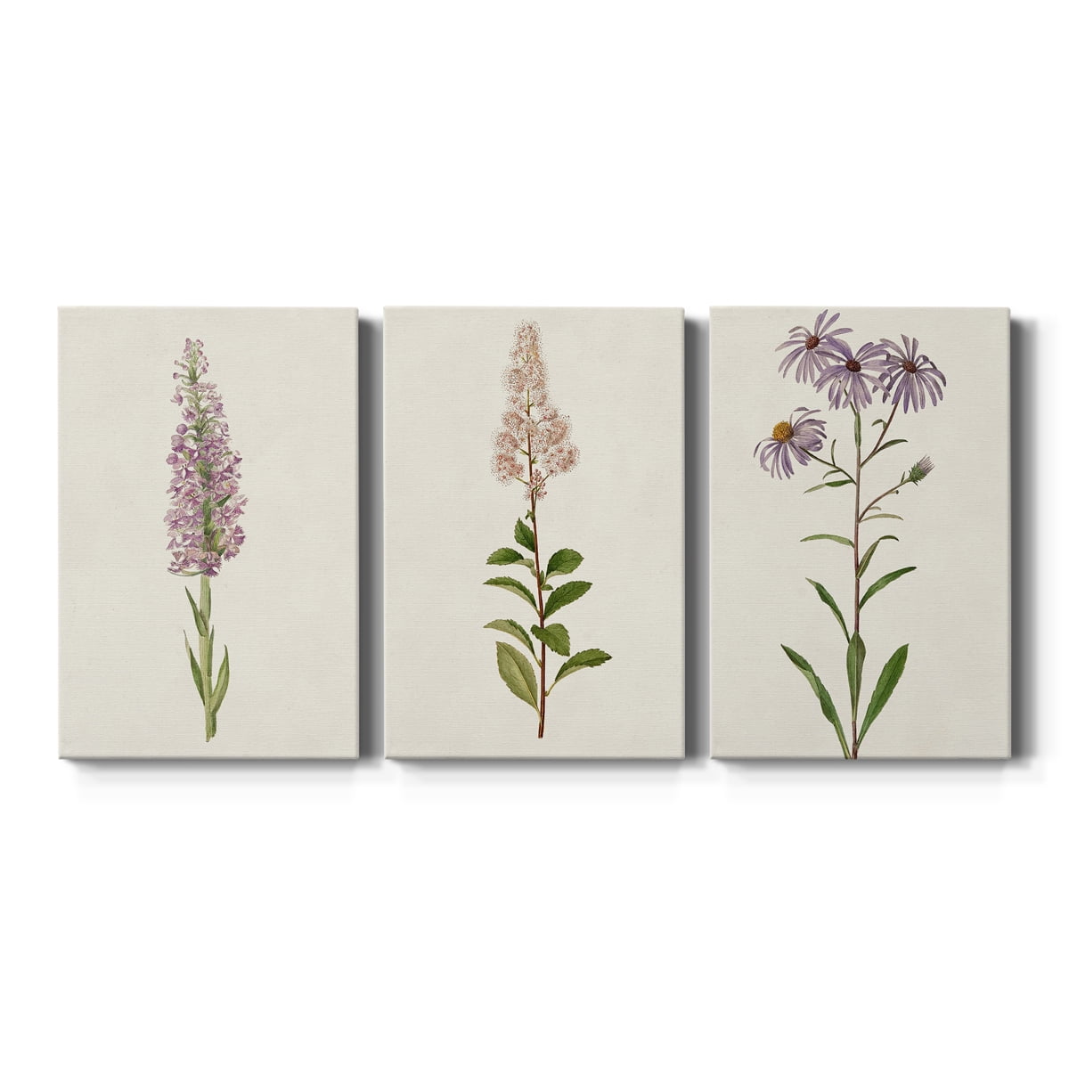 Mauve Garden Flowers I Premium Gallery Wrapped Canvas - Ready to Hang - 18 x 27 Each