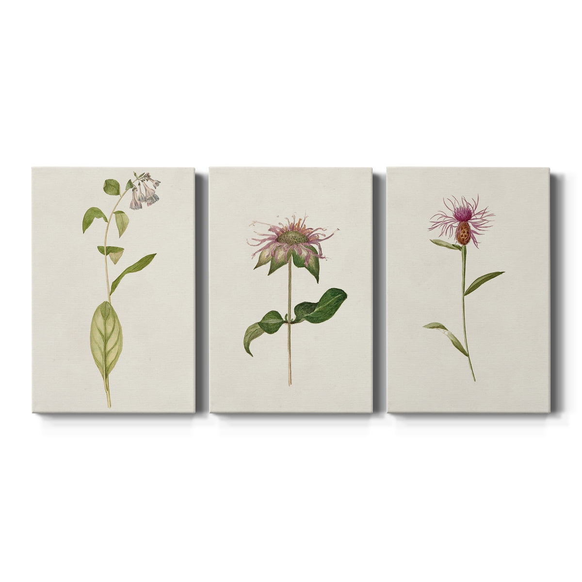 Mauve Garden Flowers IV Premium Gallery Wrapped Canvas - Ready to Hang - 32 x 48 Each