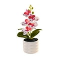thumbnail image 1 of Mauxuk Lifelike Silk Phalaenopsis Bonsai Artificial Flower with Flexible Stems & Weighted Pot, Realistic Home Office Wedding Decor, 8.66x2.56 Inches, 1 of 6