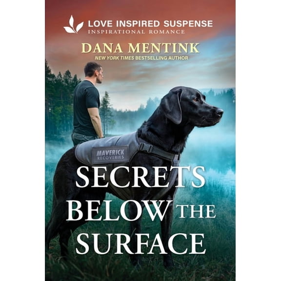 Maverick Recoveries Secrets Below the Surface, Book 1, (Paperback)