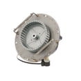 thumbnail image 1 of Mavrik - 681079 - 115v Blower Motor, 1 of 1