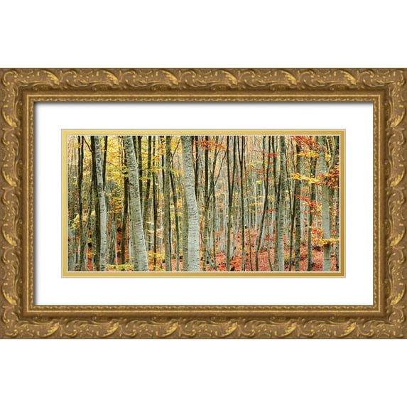 Mavroudakis 18x11 Gold Ornate Wood Framed with Double Matting Museum Art Print Titled - Beech Forest