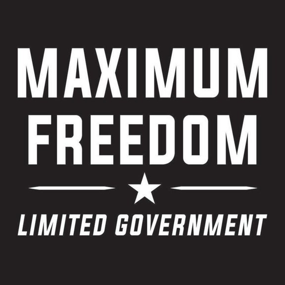 Max Freedom Limit Government Vinyl Decal Sticker | Cars Trucks Vans Walls Laptops Cups | White | 5.5 X 4.1 Inch | KCD1758