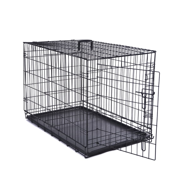 Max & Marlow Single-Door Dog Crate, Foldable Metal Wire Kennel, Portable, Tray and Divider Included, 36" x 22" x 24.5"