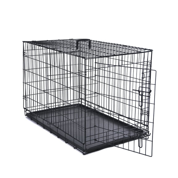 Max & Marlow Single-Door Dog Crate, Foldable Metal Wire Kennel, Portable, Tray and Divider Included, 36" x 22" x 24.5"