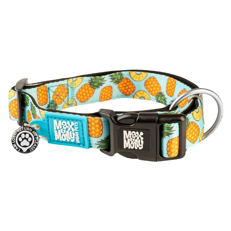 Smart buckle dog collar on sale