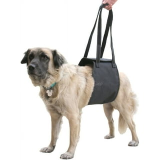 Max and Neo Dog Collars Leashes and Harnesses in Dogs Walmart