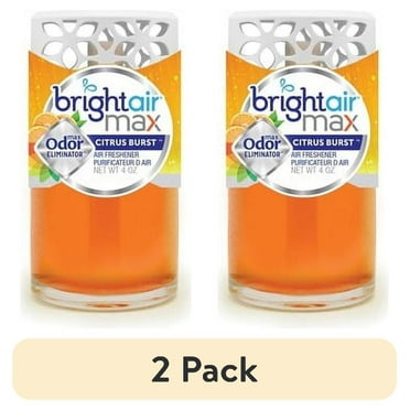 Max Scented Oil Air Freshener, Meadow Breeze, 4 oz