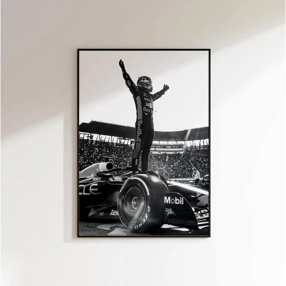Max Verstappen Poster, Formula 1 Red Bull Poster, F1 Gift Poster Size 24''x36'' Googate