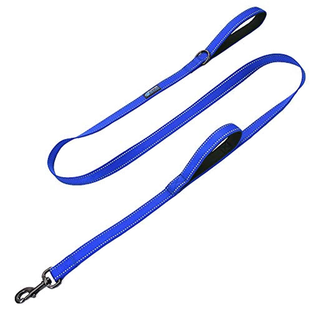 Max and Neo Double Handle Traffic Dog Leash Reflective We Donate a Leash to a Dog Rescue for Every Leash Sold Blue Walmart