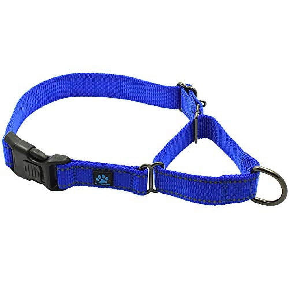 Martingale Collar Whippet
