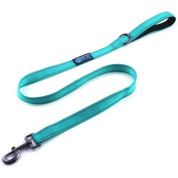 Max and Neo Small Dog Reflective Nylon Dog Leash - We Donate a Leash to a Dog Rescue for Every Leash Sold (Teal, 4x5/8)