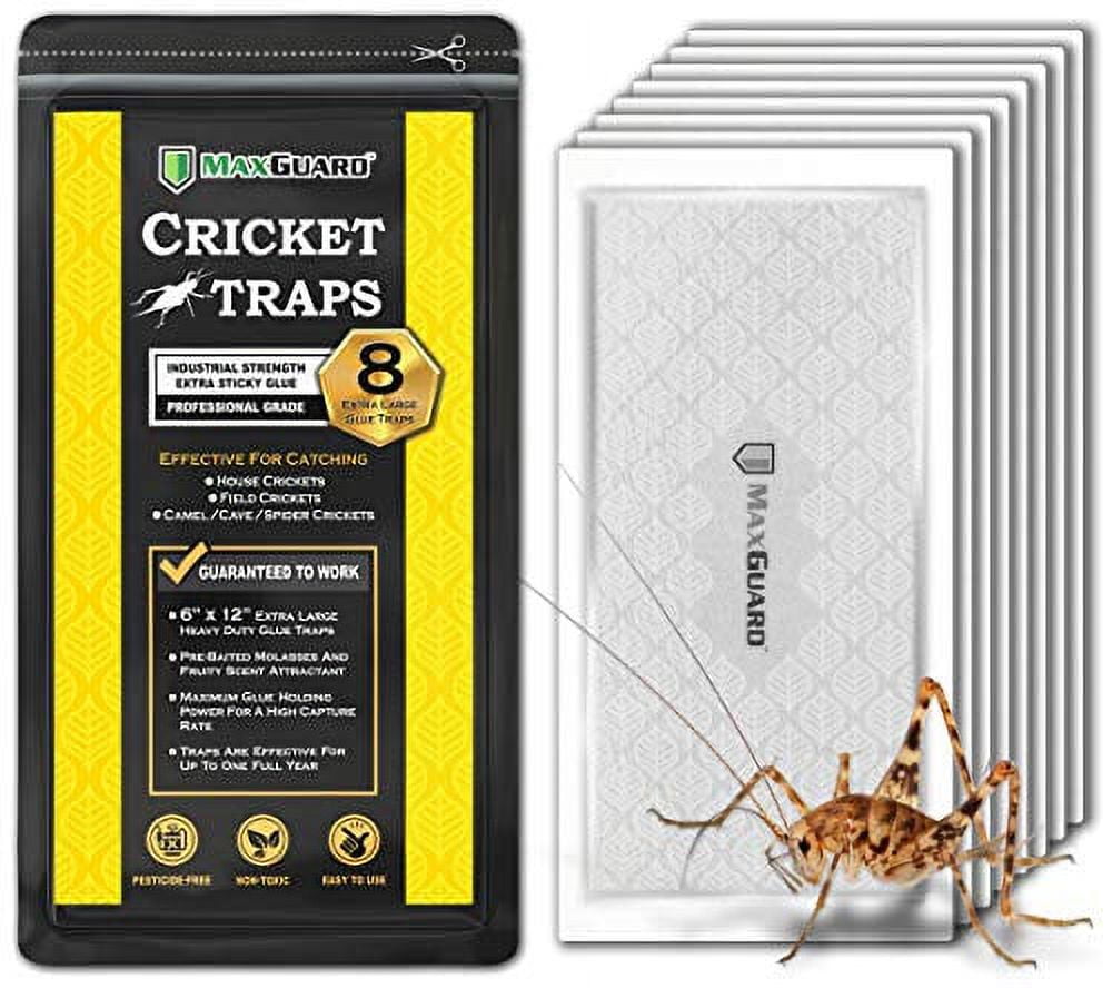 MaxGuard Extra Large Cricket Traps (8 Traps) NonToxic Extra Sticky