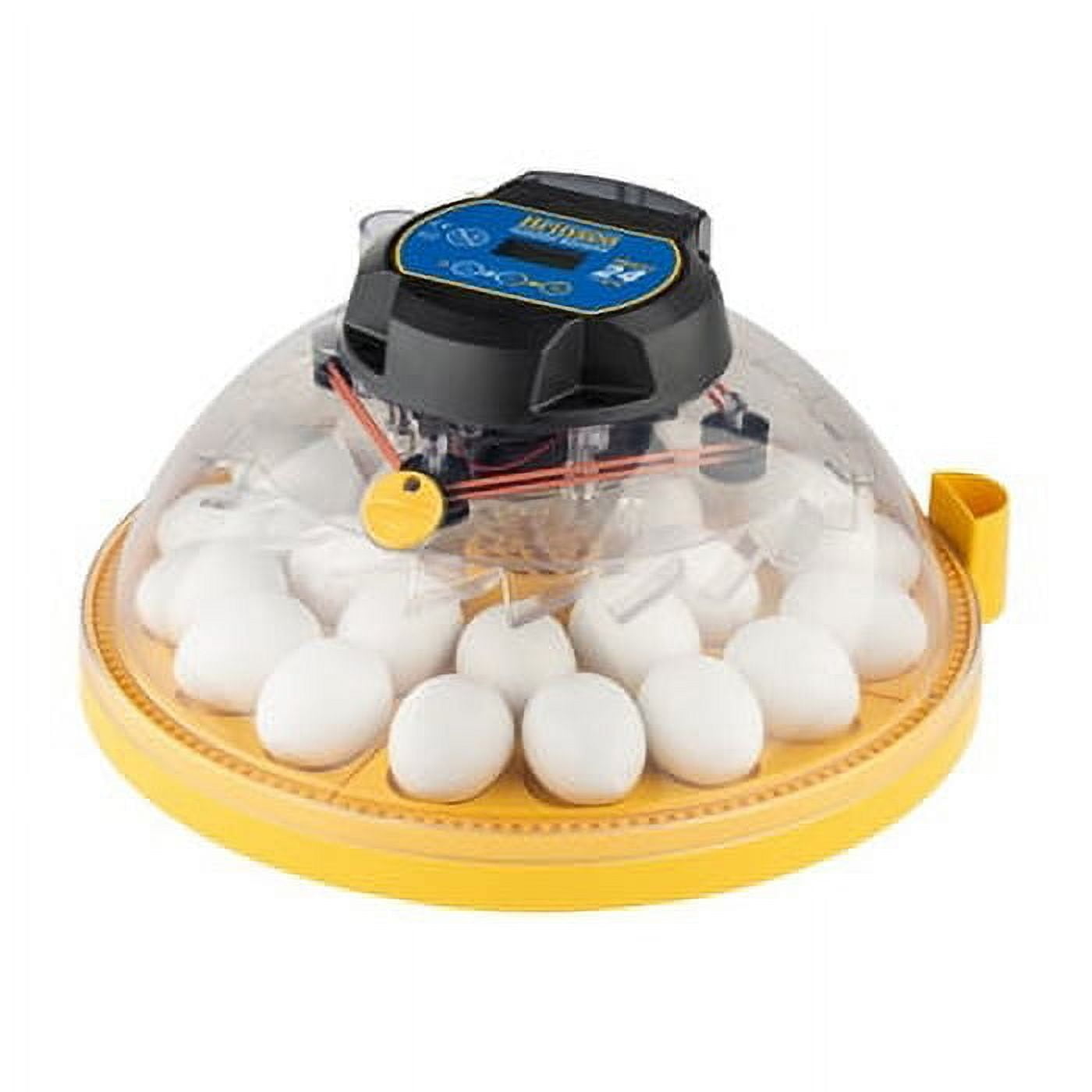 Maxi 24 EX Automatic Yellow and Clear Egg Incubator