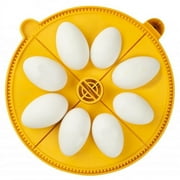 Maxi 24 Extra large Egg Quadrants