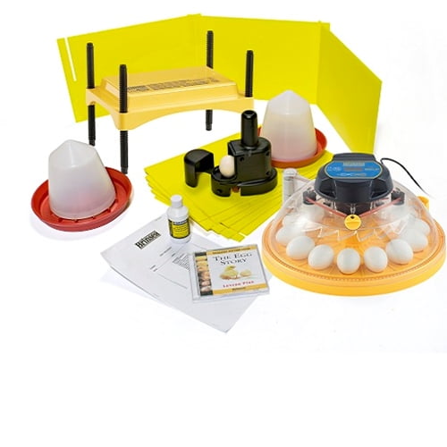 Maxi II Advance 14 Egg Incubator Classroom Pack