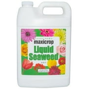 Maxicrop MAX1002 1 gal زجاجة الأعشاب البحرية السائلة 0-0-1 الأسمدة