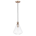thumbnail image 1 of Maxim Lighting - One Light Pendant - Single Pendant - Abbott-One Light, 1 of 5