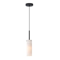 Blizzard 1 - Light Black Incandescent Glass And Steel Pendant Light