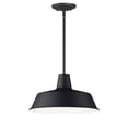 thumbnail image 1 of 35019BK-Maxim Lighting-Pier M - 1 Light X-Large Outdoor Pendant In Rustic Style-8 Inches Tall and 14 Inches Wide-Black Finish, 1 of 5