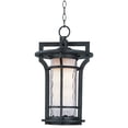 thumbnail image 1 of Maxim 55788 Black Oxide Oakville 19" Pendant, 1 of 2