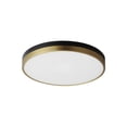 thumbnail image 1 of Dapper 1 - Light Black And Antique Brass Multi Color Modern / Transitional - LED Steel Flush Mount Light, 1 of 4