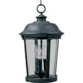 thumbnail image 1 of Maxim Dover DC Three Light 17-Inch Outdoor Hanging Lantern - Bronze - 3028CDBZ, 1 of 2