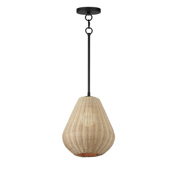 12602NABK Maxim Lighting Maldives - 6W 1 LED Pendant-13 Inches Tall and 10.5 Inches Wide     -Traditional Installation