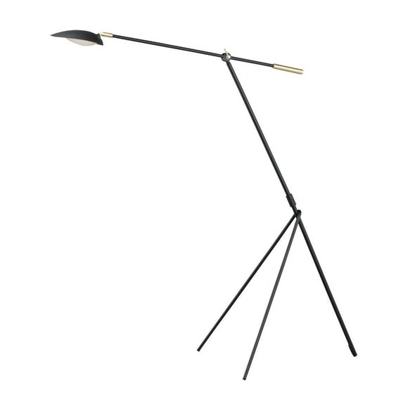 60.5 Inch 6.5W 1 Led Floor Lamp Maxim Lighting 21694Bksbr