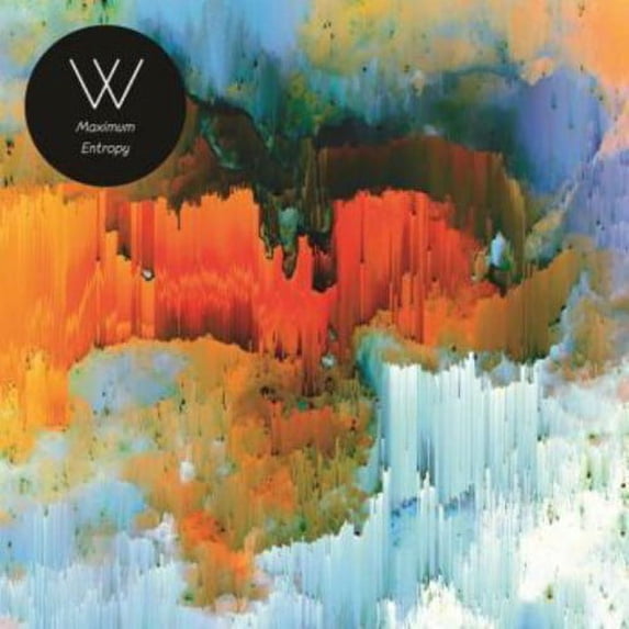 Maximum Entropy (Vinyl)