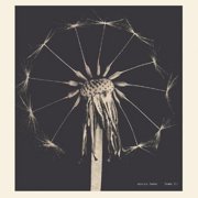 Maxine Funke - Home Fi - Music & Performance - Vinyl