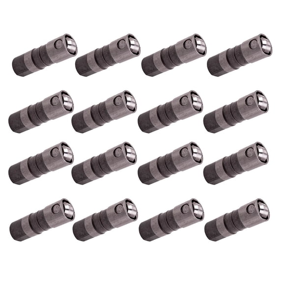 Maxpeedingrods Hydraulic Roller Lifter Kit with Guide Trays for Chevy 5.7 6.0 LS1 LS2 LS7