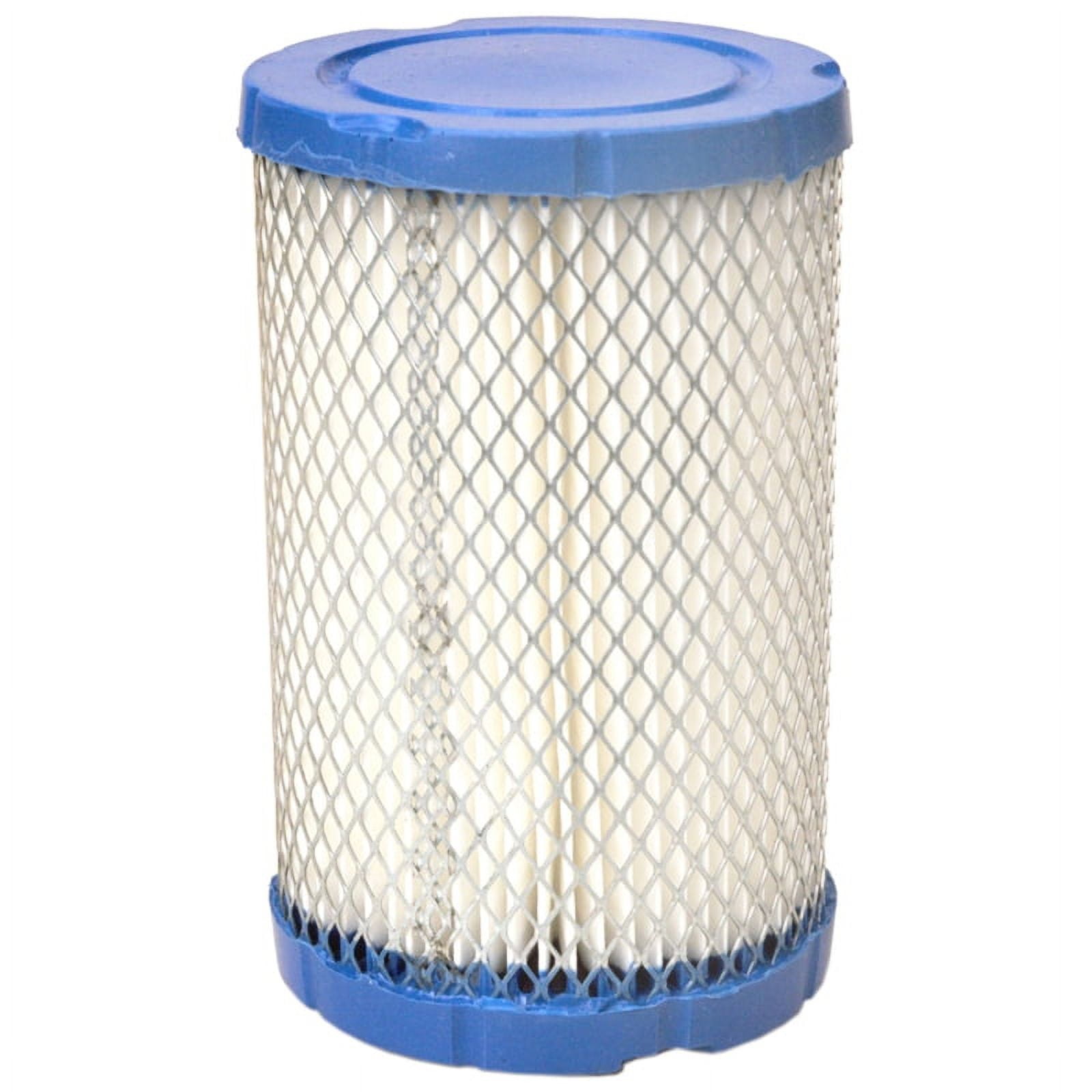 Maxpower 334395 Air Filter For Briggs And Stratton - Walmart.com