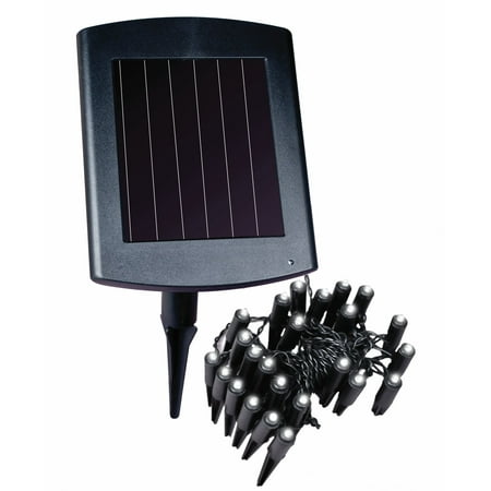 Solar-Powered Plant and Border Light