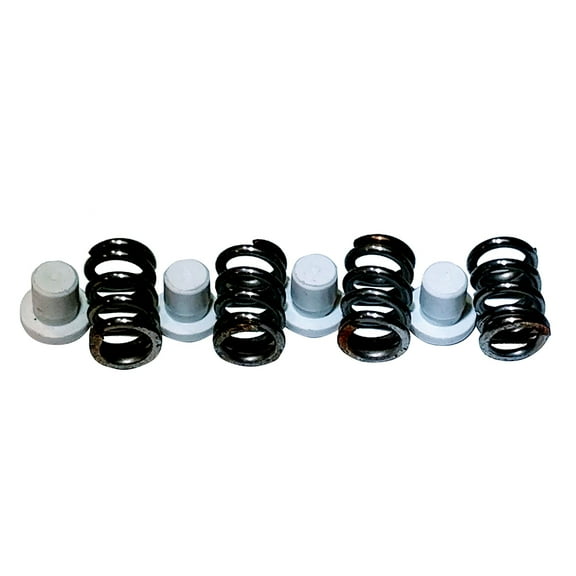 Maxwell Plunger/Spring Kit - 2200-4500, P101550