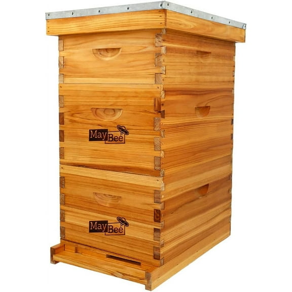 MayBee 8-Frame Langstroth Beehive Dipped in 100% Beeswax, Bee Hive for Beginner, Honey Bee Hives Includes 2 Deep Bee Boxes, 1 Bee Hive Super with Beehive Frames and Foundation (3 Layer)