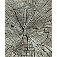 thumbnail image 1 of Mayberry Rug DN8552 2X8 2 ft. 3 in. x 7 ft. 7 in. Denver Timber Area Rug, Gray, 1 of 1