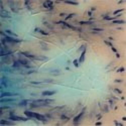 Mayco Crystalite Glaze - Northern Lights, Pint