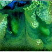 Mayco Elements Chunkies Non-Toxic Ceramic Glaze, 1 Pint, Moss Creek