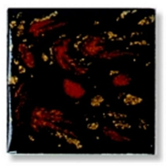 Mayco Jungle Gems Crystal Glaze - Black Iris, Pint