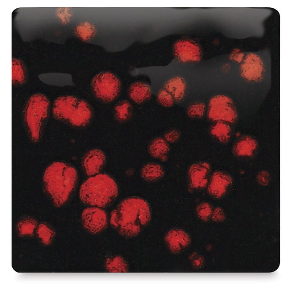 Mayco Jungle Gems Crystal Glaze - Black Opal, Pint