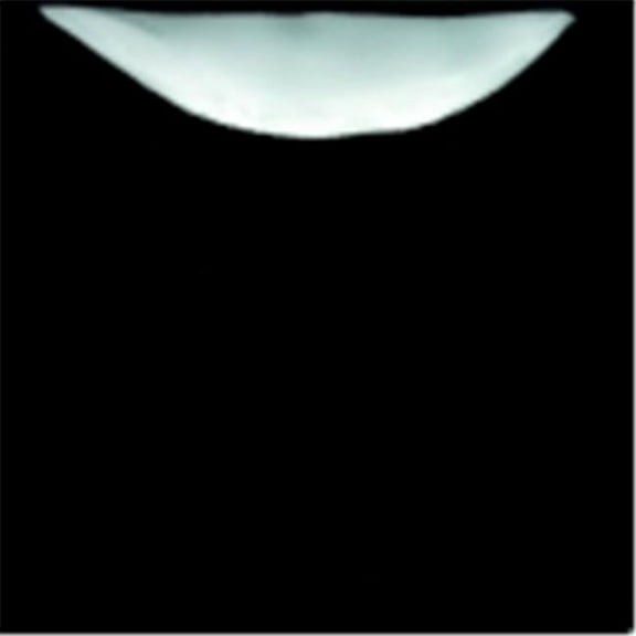 Mayco Stroke & Coat Wonderglaze Non-Toxic Glaze- 1 Pint Bottle- Tuxedo