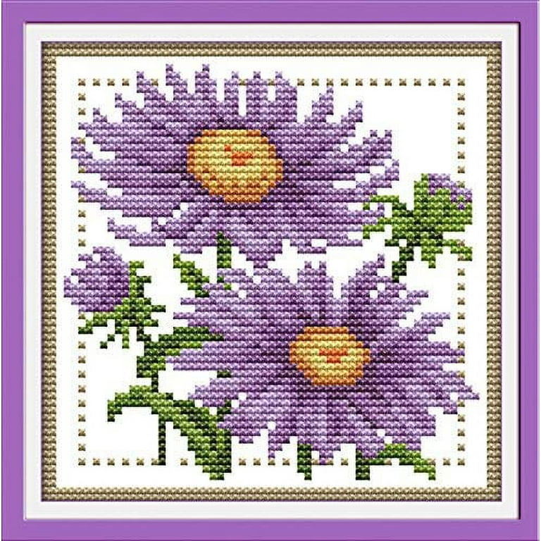 Maydear Stamped Cross Stitch Kits, Embroidery Starter Kits for