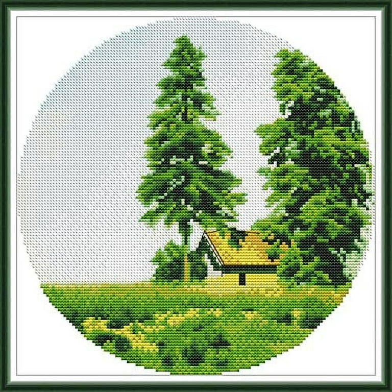 Stamped Cross Stitch Kits For Beginners Full Range Of