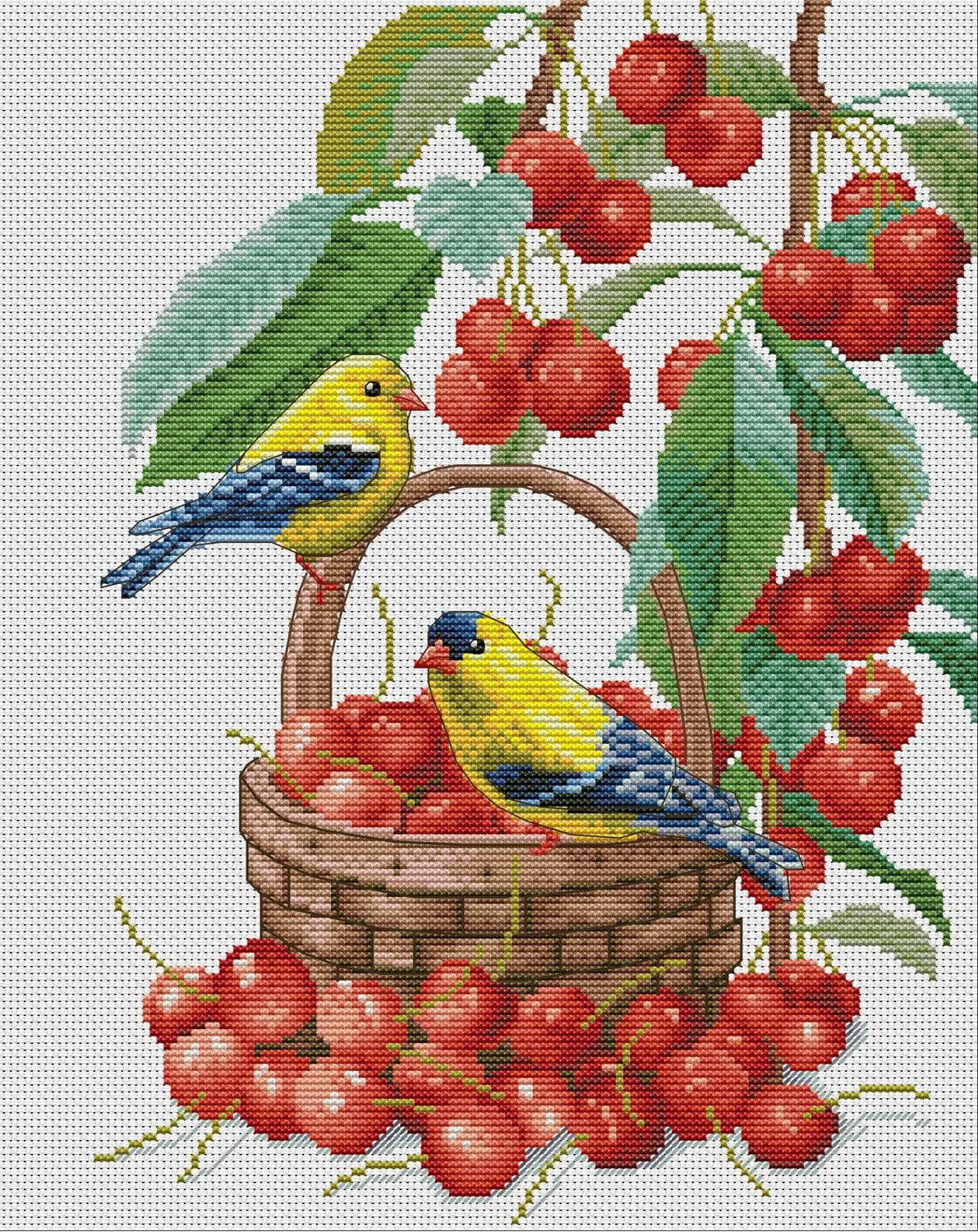 Maydear Cross Stitch Kits Stamped Full Range of Embroidery Starter Kits